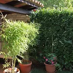 With A Parking Space Novigrad - 7121 Apartment *