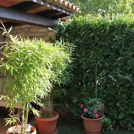 With A Parking Space Novigrad - 7121 Lägenhet *