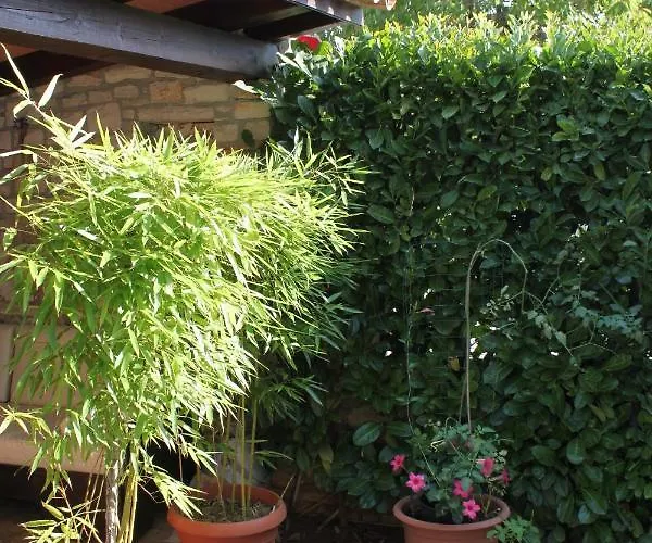 With A Parking Space Novigrad - 7121 Διαμέρισμα *